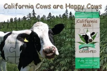 California Happy Cow- "Grass Fed " LOL