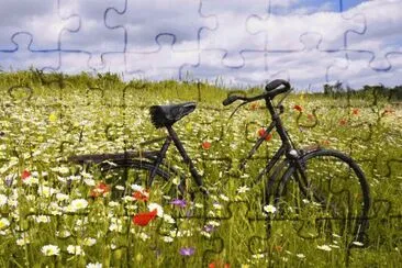 bike and wildflowers