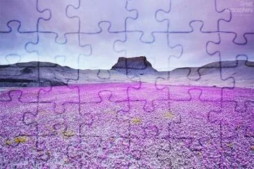 Purple Flowers in Desert-Utah