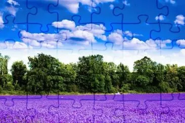 321 jigsaw puzzle