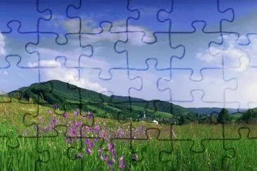 campo jigsaw puzzle