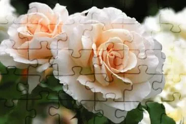 flores jigsaw puzzle