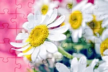 image jigsaw puzzle