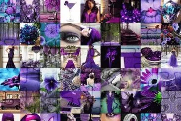 Colllage of Purple Things