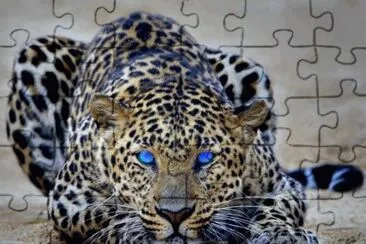 ImÃ¡genes jigsaw puzzle