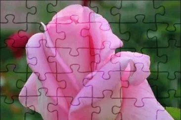 ImÃ¡genes jigsaw puzzle