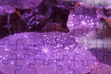 Rain Drops on Purple Leaves jigsaw puzzle