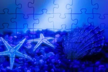 estrellas de mar jigsaw puzzle