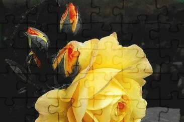 flores jigsaw puzzle