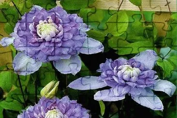 flores jigsaw puzzle