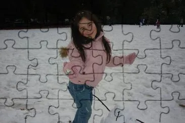  jigsaw puzzle