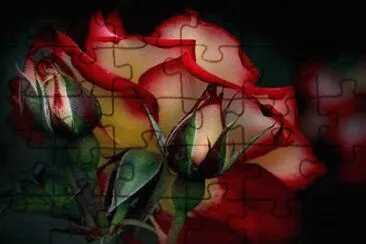 flores jigsaw puzzle