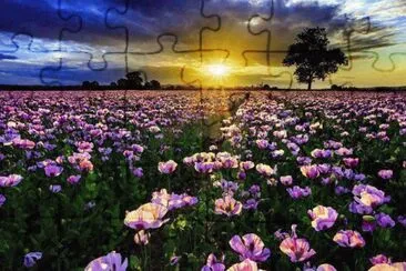 paisagem jigsaw puzzle