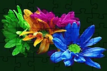 image jigsaw puzzle