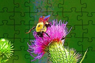 Bumble Bee jigsaw puzzle