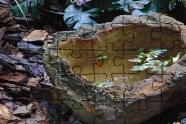 paisaje jigsaw puzzle