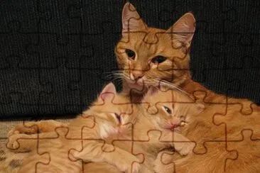 Gatinhos. jigsaw puzzle