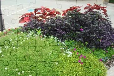 floresta jigsaw puzzle