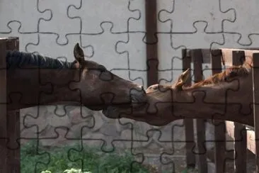 things jigsaw puzzle