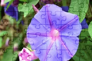 Campanilla Azul - CentroamÃ©rica jigsaw puzzle