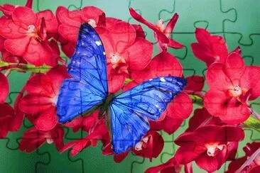 image jigsaw puzzle