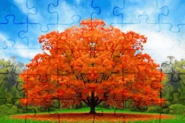 image jigsaw puzzle