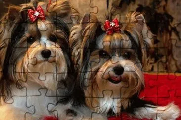 Lindinhoss jigsaw puzzle