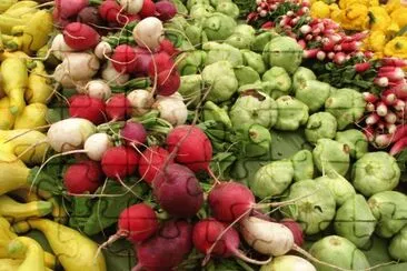 vegetables in season