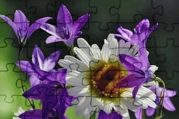 flores jigsaw puzzle