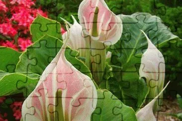 flores jigsaw puzzle