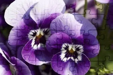 flores jigsaw puzzle