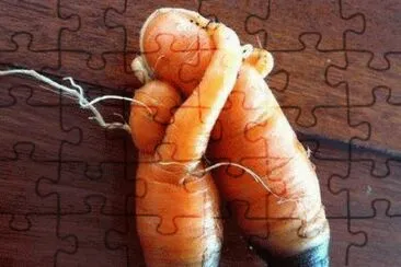 carrot love