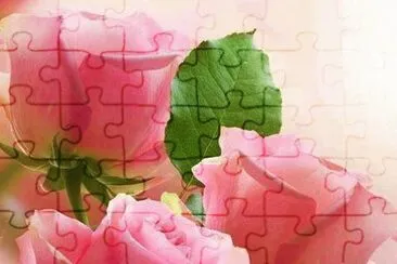 flores jigsaw puzzle