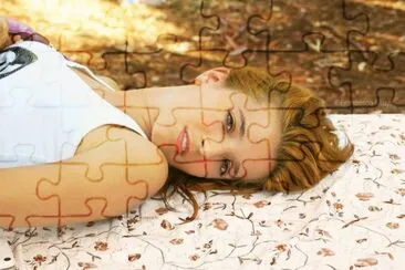  jigsaw puzzle