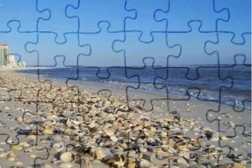 shell beach jigsaw puzzle