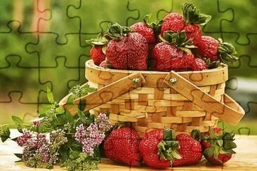 canasta jigsaw puzzle