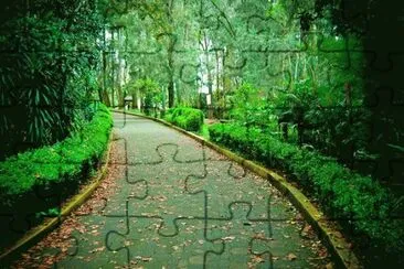 sendero verde jigsaw puzzle