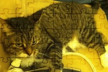 cat burglar jigsaw puzzle