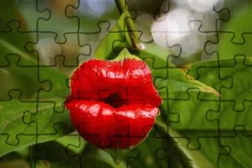 hookers lips plant jigsaw puzzle