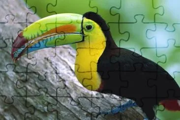  jigsaw puzzle