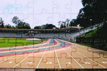 estadio jigsaw puzzle