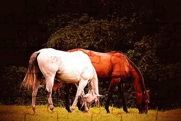 Pair of Horses