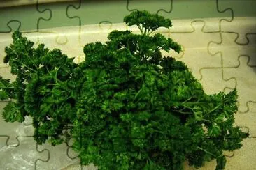 פאזל של beautiful parsley