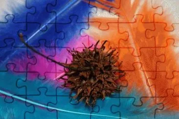 image jigsaw puzzle