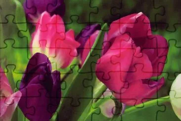 linda flor jigsaw puzzle