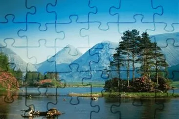 cenario 2 jigsaw puzzle