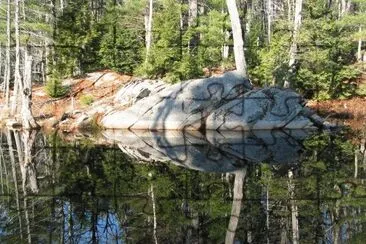 beaver pond