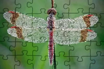 things jigsaw puzzle