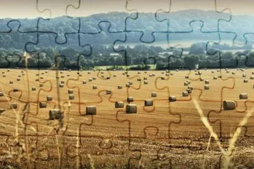 Hay Bales Herefordshire