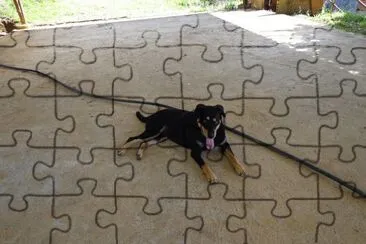 MI PERRITA jigsaw puzzle